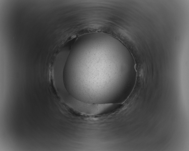 X0000089450868200706291441