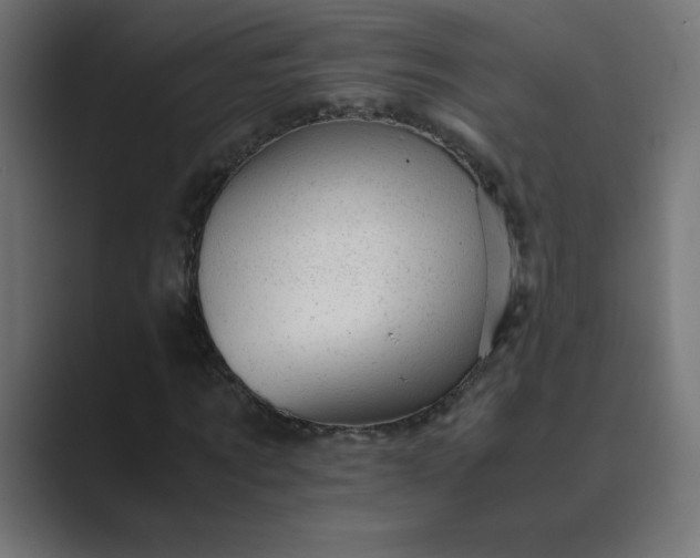 X0000089450869200706291441