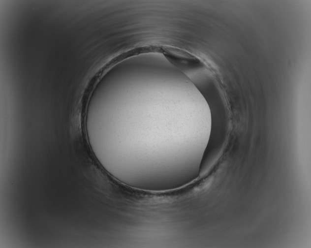 X0000089450877200706291441