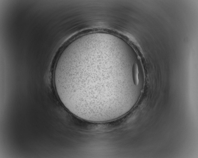 X0000089450879200706291441