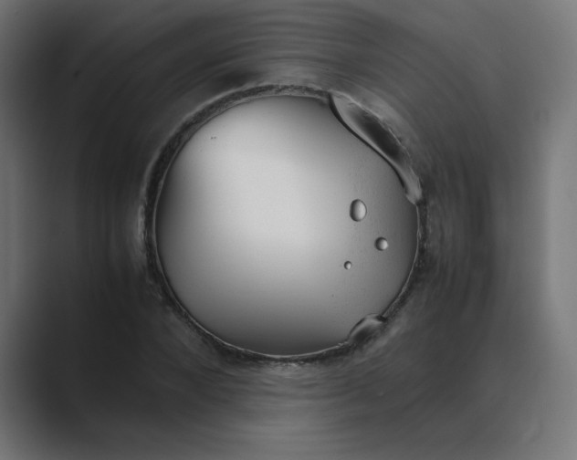 X0000089450880200706291441