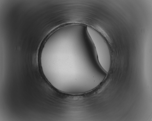 X0000089450884200706291441