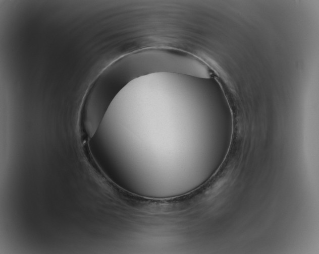 X0000089450885200706291441