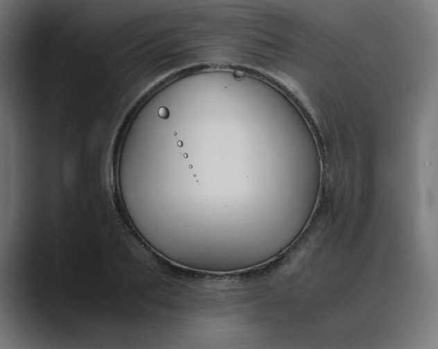 X0000089450887200706291441