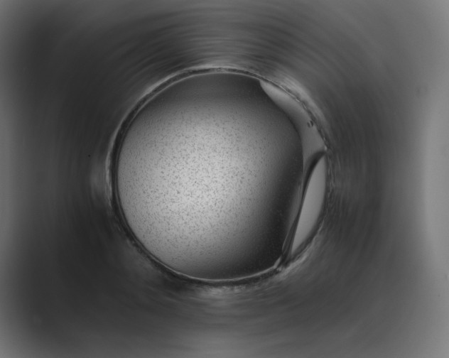X0000089450892200706291441