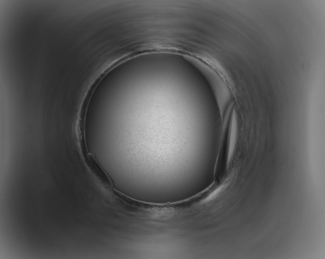 X0000089450893200706291441