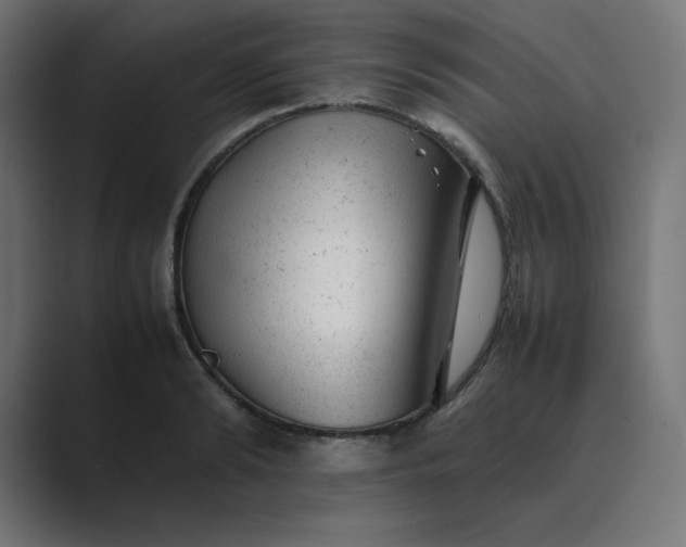 X0000089450894200706291441
