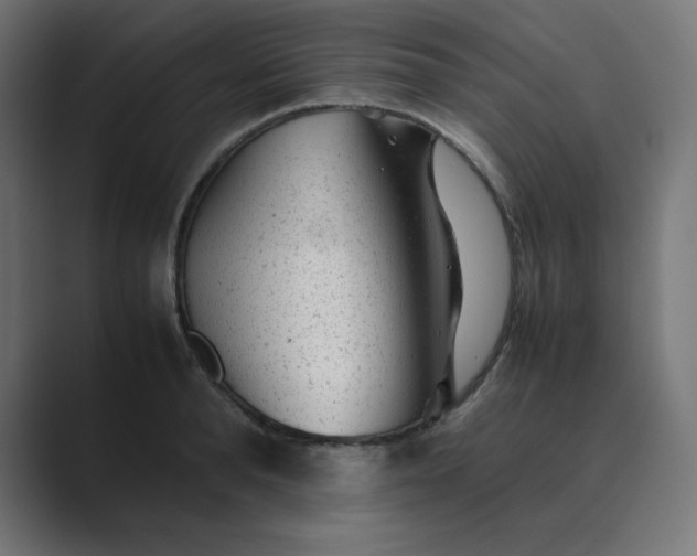 X0000089450896200706291441