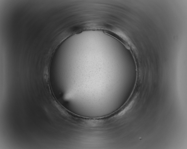 X0000089450897200706291441