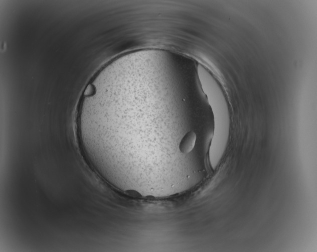 X0000089450899200706291441