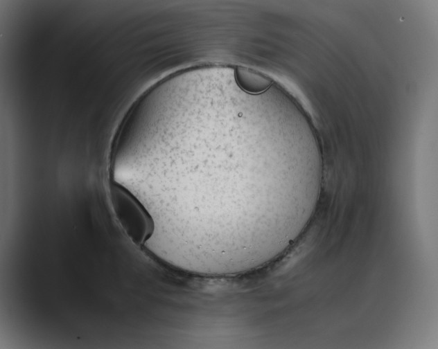 X0000089450903200706291441