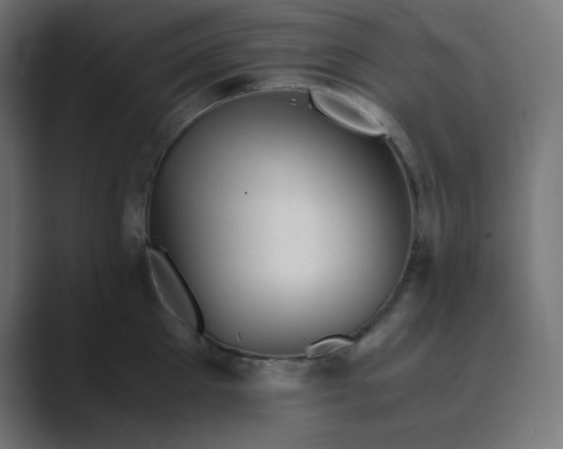X0000089450905200706291441