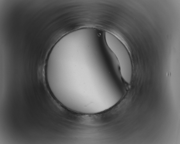 X0000089450906200706291441