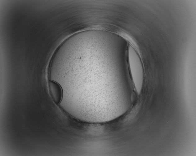 X0000089450907200706291441