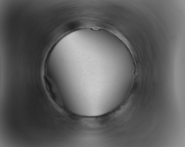 X0000089450909200706291441