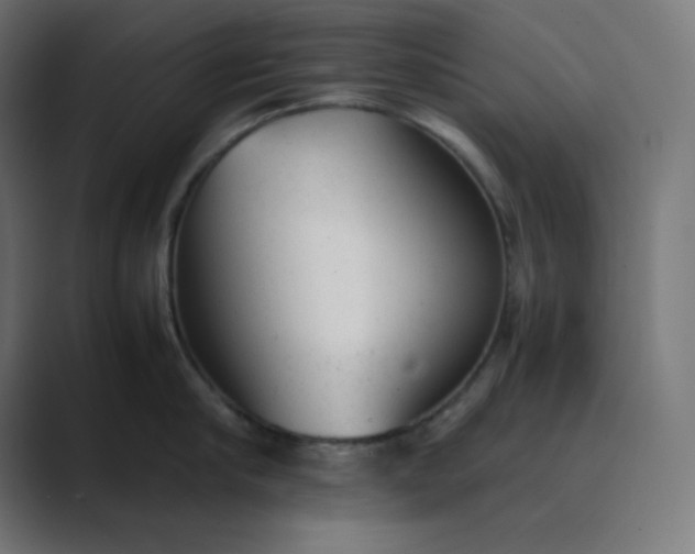 X0000089450910200706291441
