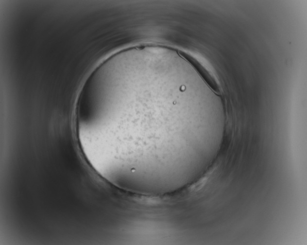 X0000089450911200706291441