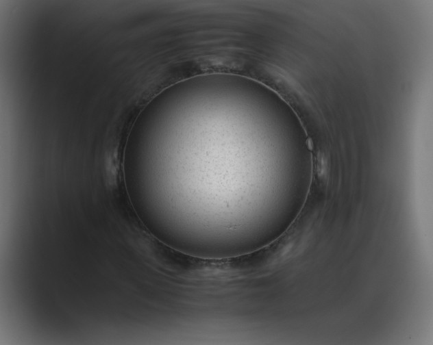 X0000089450915200706291440