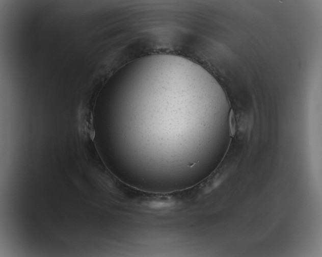 X0000089450916200706291440