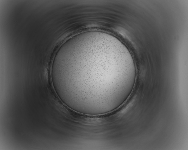 X0000089450921200706291440