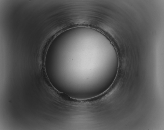 X0000089450922200706291440