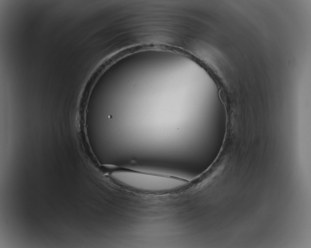 X0000089450924200706291440