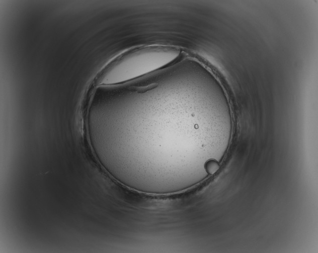 X0000089450925200706291440