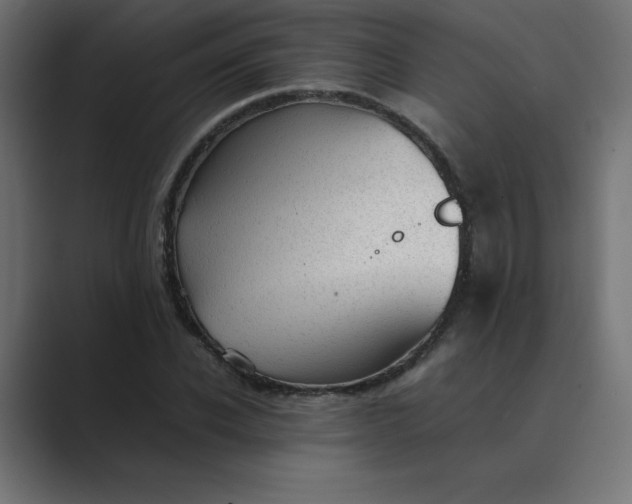 X0000089450926200706291440