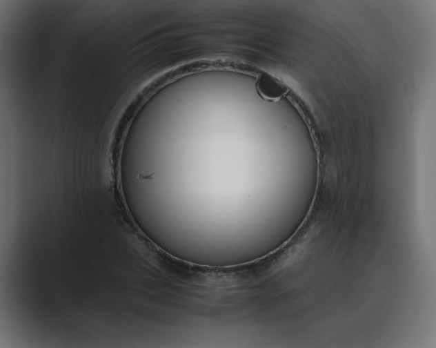 X0000089450927200706291440