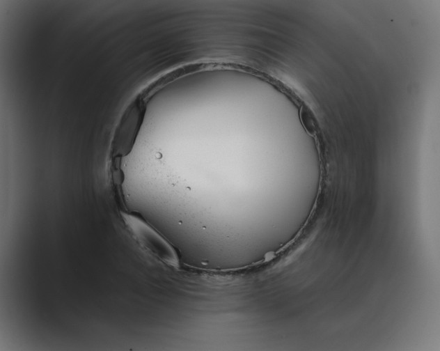 X0000089450928200706291440