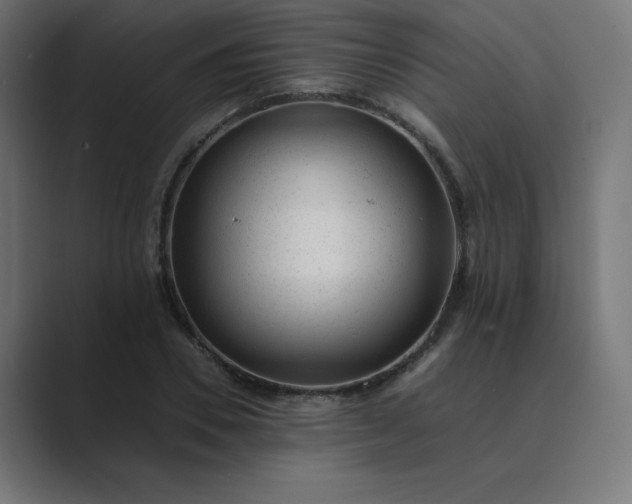 X0000089450930200706291440