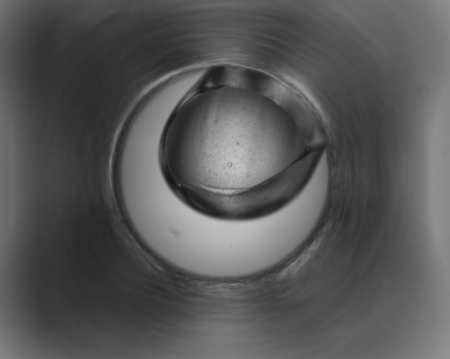 X0000089450932200706291440