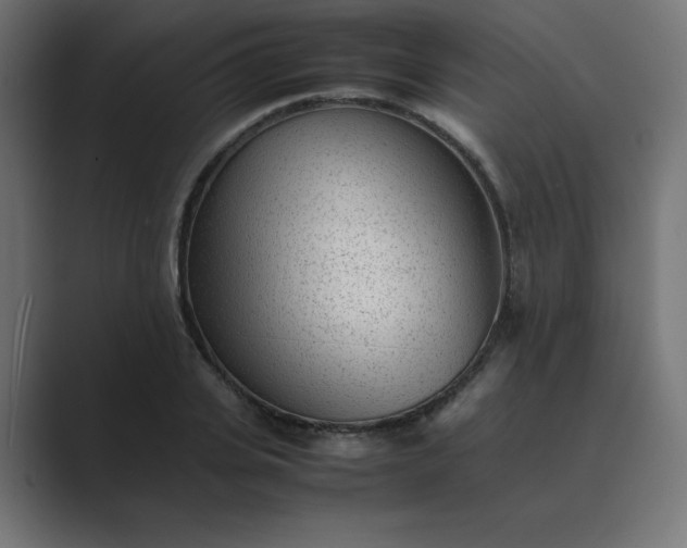 X0000089450935200706291440