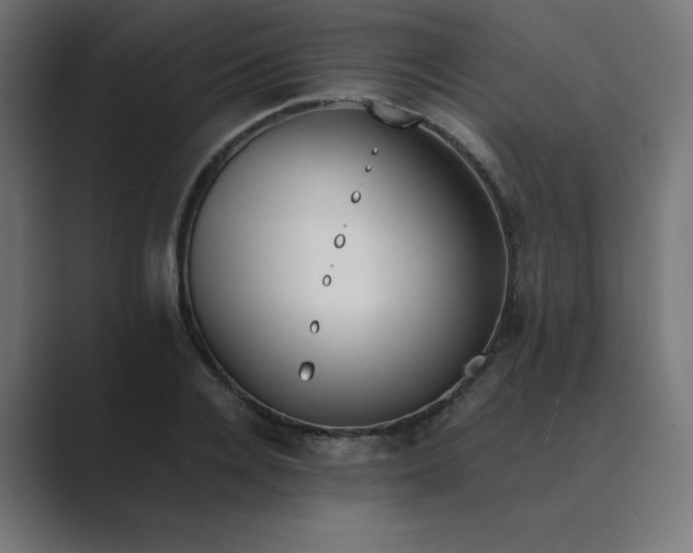 X0000089450936200706291440