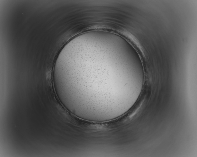 X0000089450937200706291440