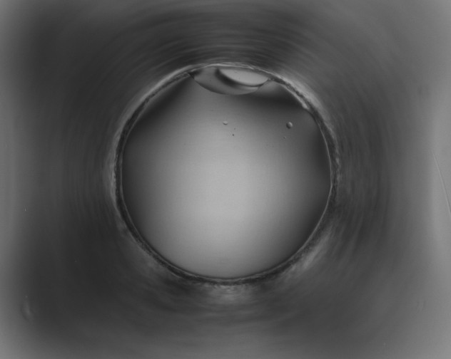 X0000089450941200706291440