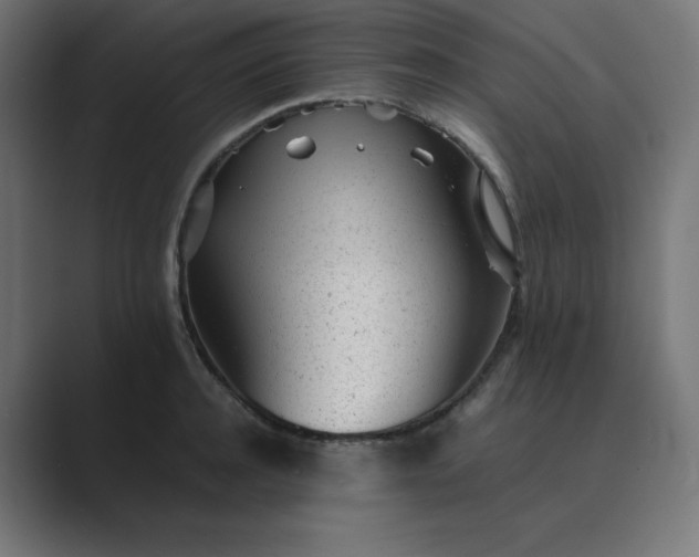 X0000089450944200706291441