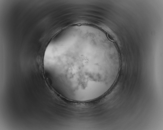 X0000089450945200706291441