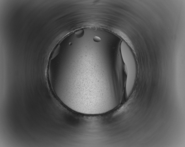 X0000089450946200706291441