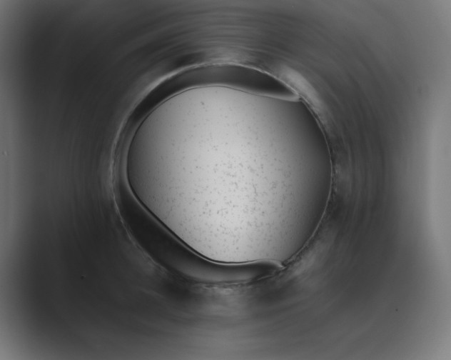 X0000089450948200706291441