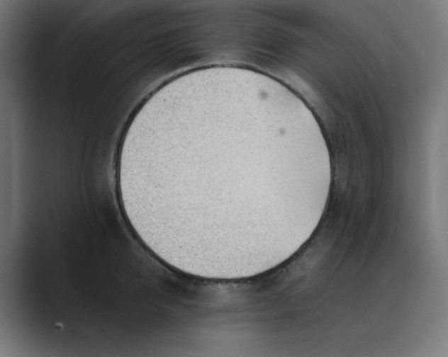 X0000089450950200706291441