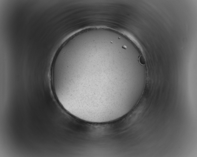 X0000089450951200706291441