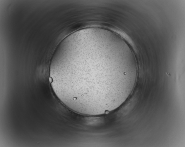 X0000089450953200706291441