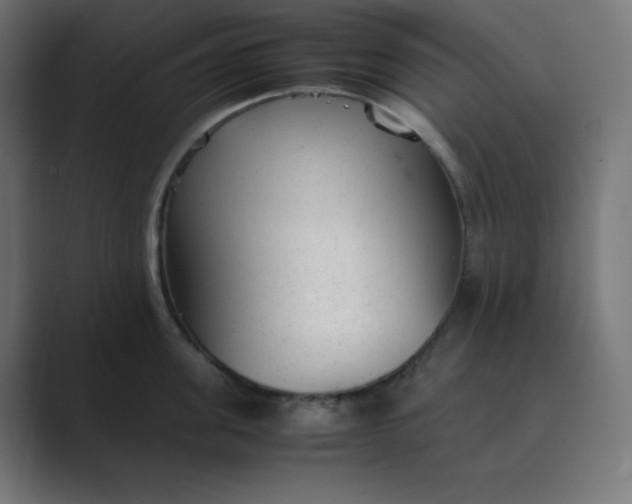 X0000089450955200706291441