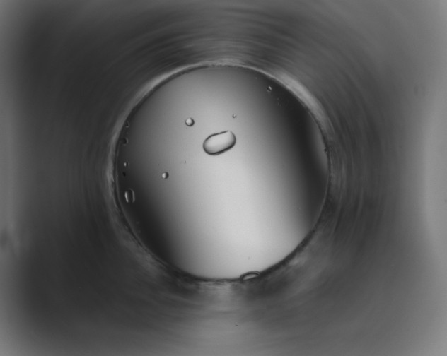 X0000089450956200706291441