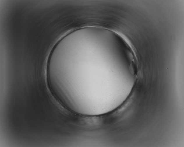 X0000089450957200706291441