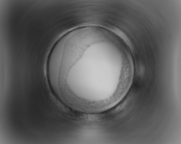 X0000089450958200706291441