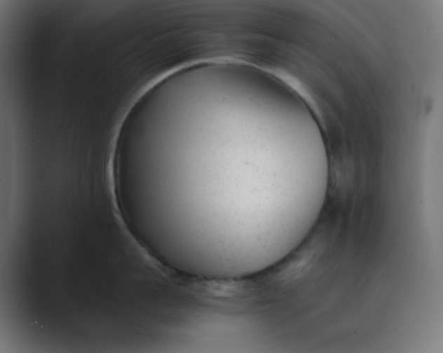 X0000089450959200706291441