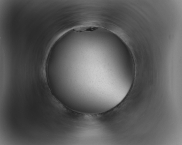 X0000089450960200706291441