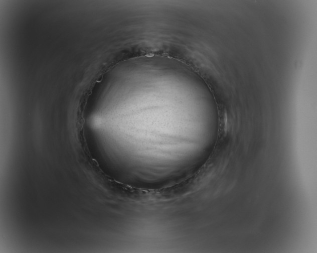 X0000089450961200706291440